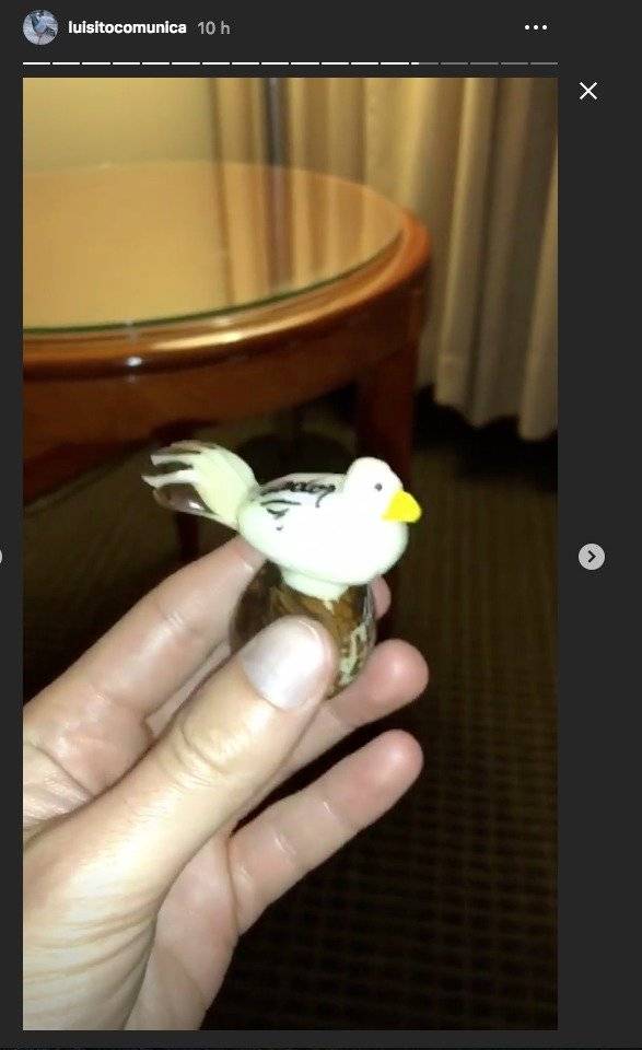 Regalo de Luisito Comunica