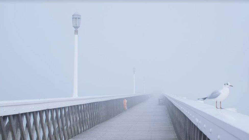 103380446island-de7f15b0c27023dd5340a48f91eb2484.jpg