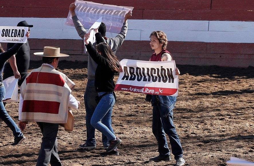 manifestación animalista