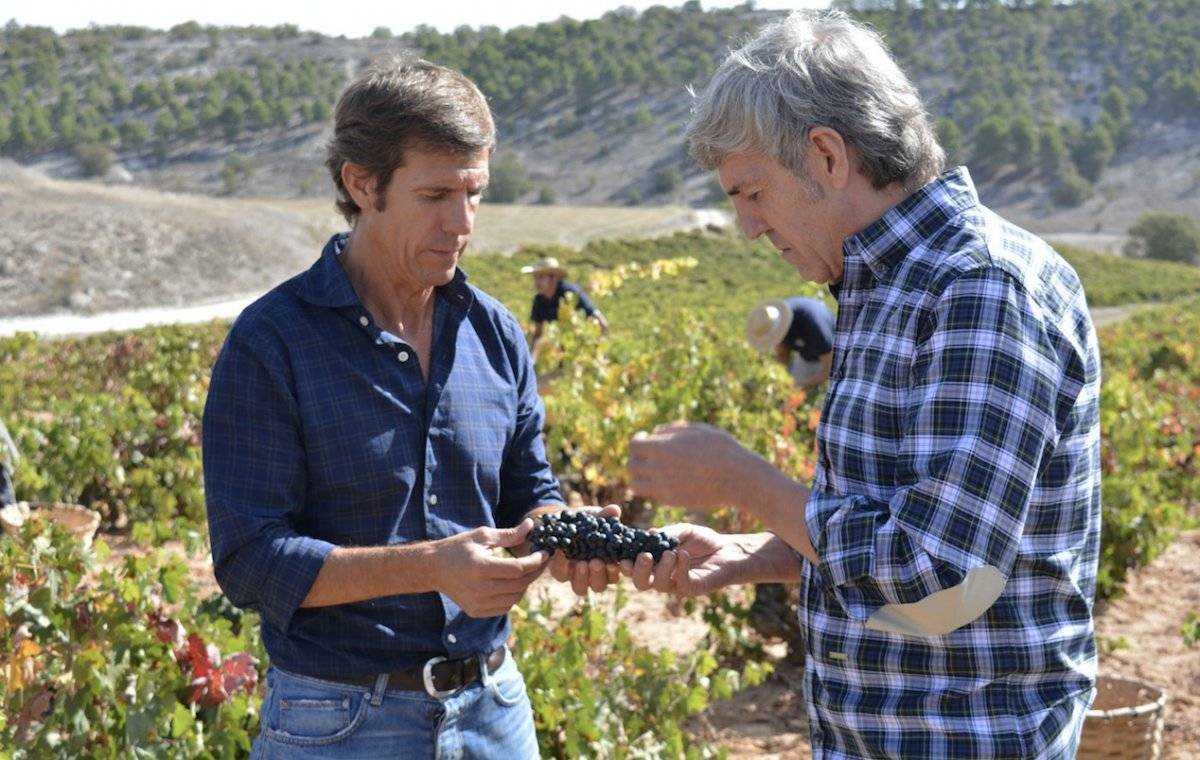 Bodegas Emilio Moro, tintos que despiertan emociones