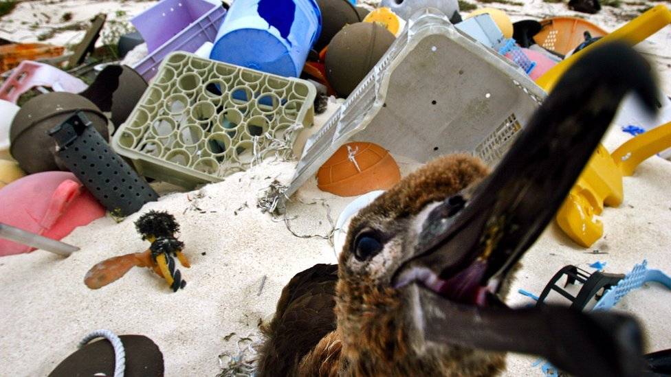 103303128gettyimages564064163-db82195245585f69bf64163d014a7b9b.jpg