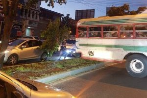 VIDEO. Ayudante quiebra un árbol para que bus pueda retroceder