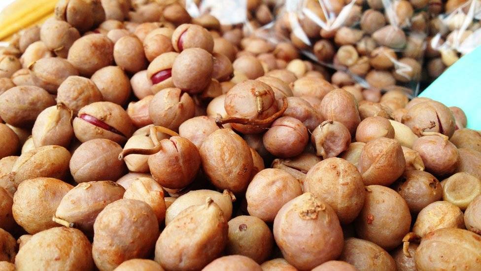 103499115alimentos5-0e04538febfe159a68669bb56ec43765.jpg