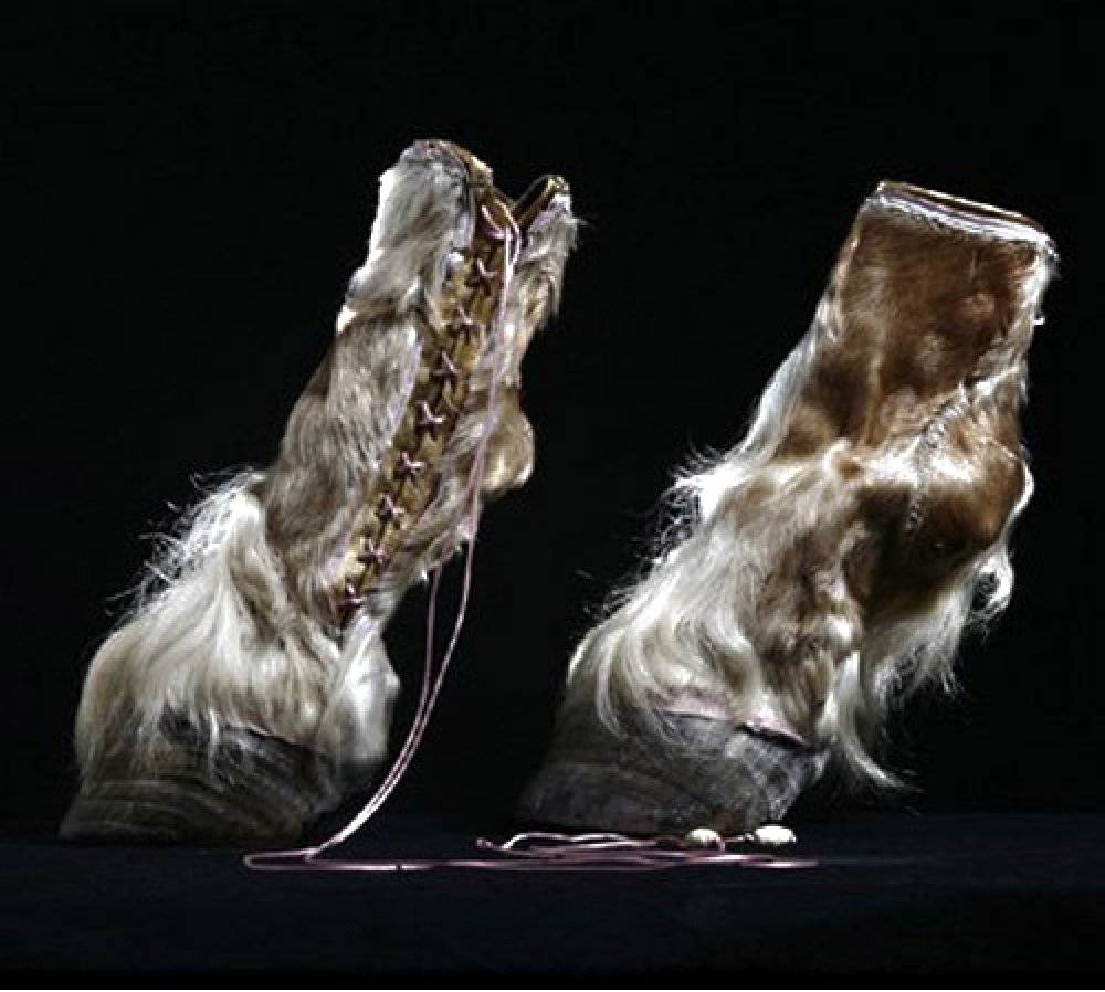 Iris Schieferstein y sus zapatos taxonómicos