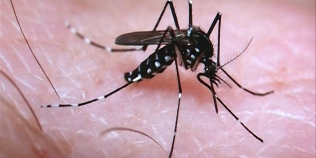 El virus del Zika podría ser útil para combatir este terrible tipo de cáncer
