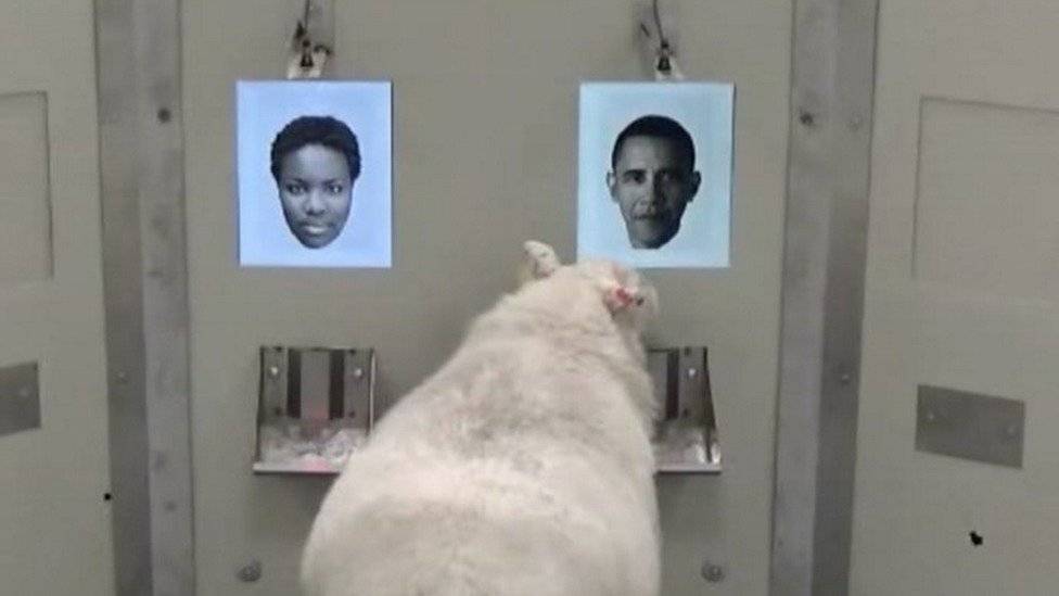 1034608891capture-7b11c0e75cbbfc10e976f48b0982a0fd.jpg