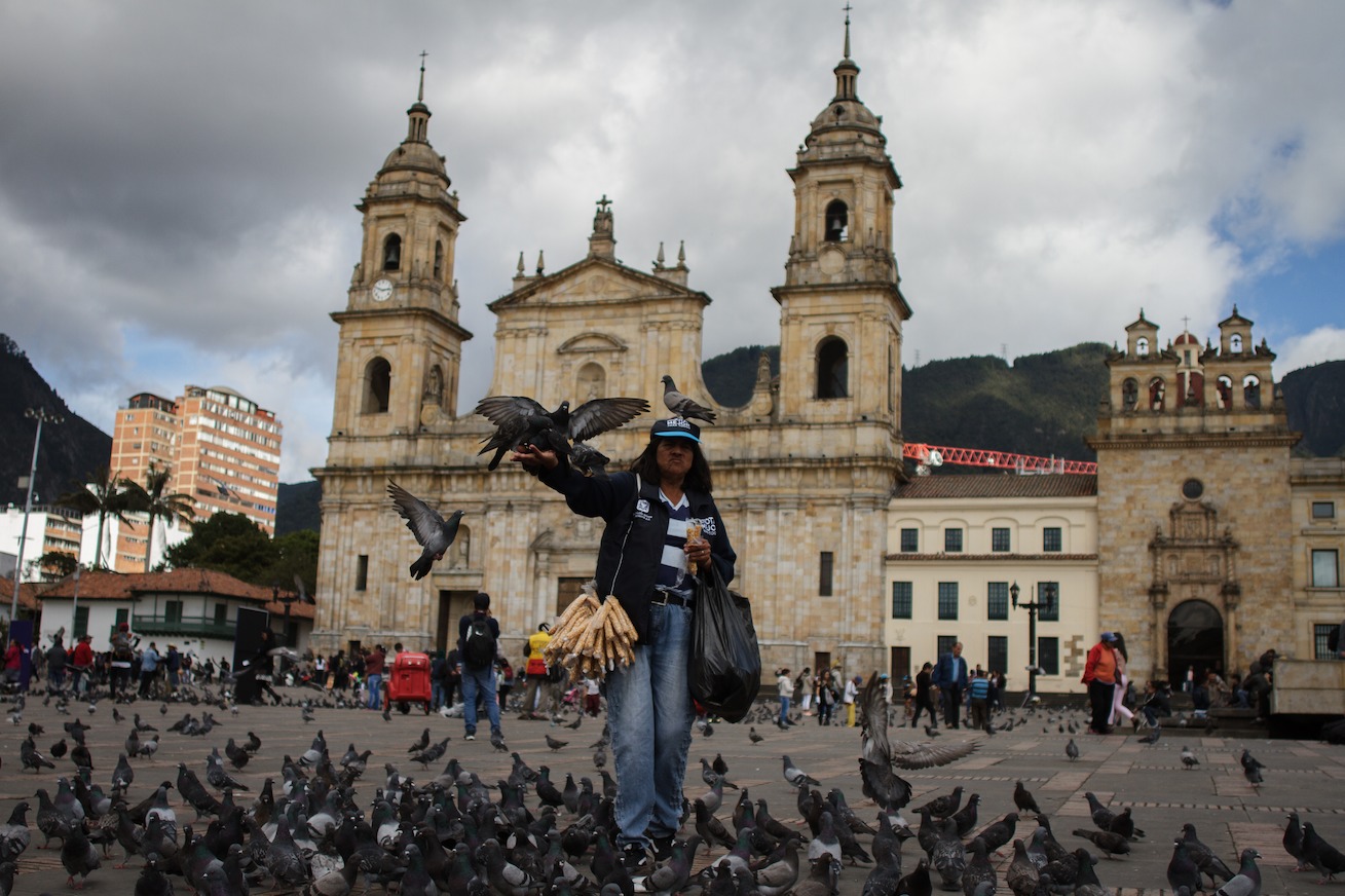 Palomas