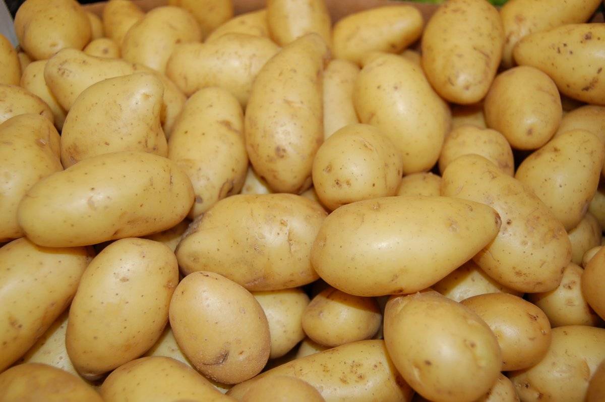papas