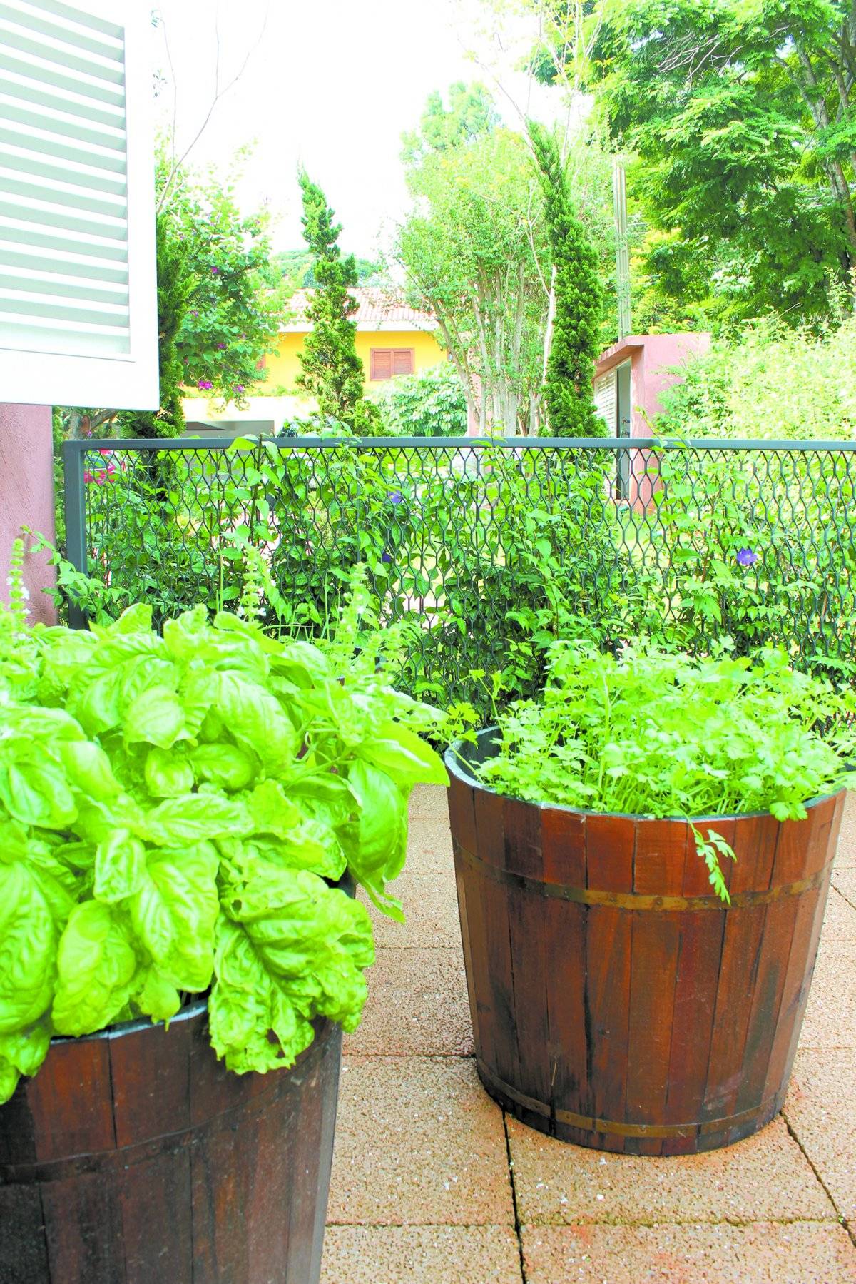 Jardim no apartamento
