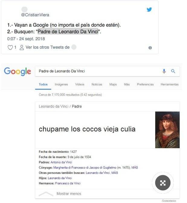 padre de leonardo da vinci