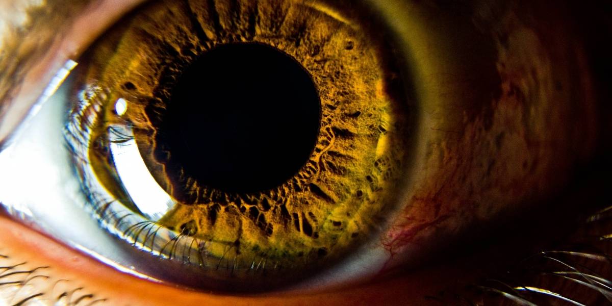 Dispositivo chileno revoluciona la forma de examinar los ojos: buscan votos para llevarlo a Silicon Valley