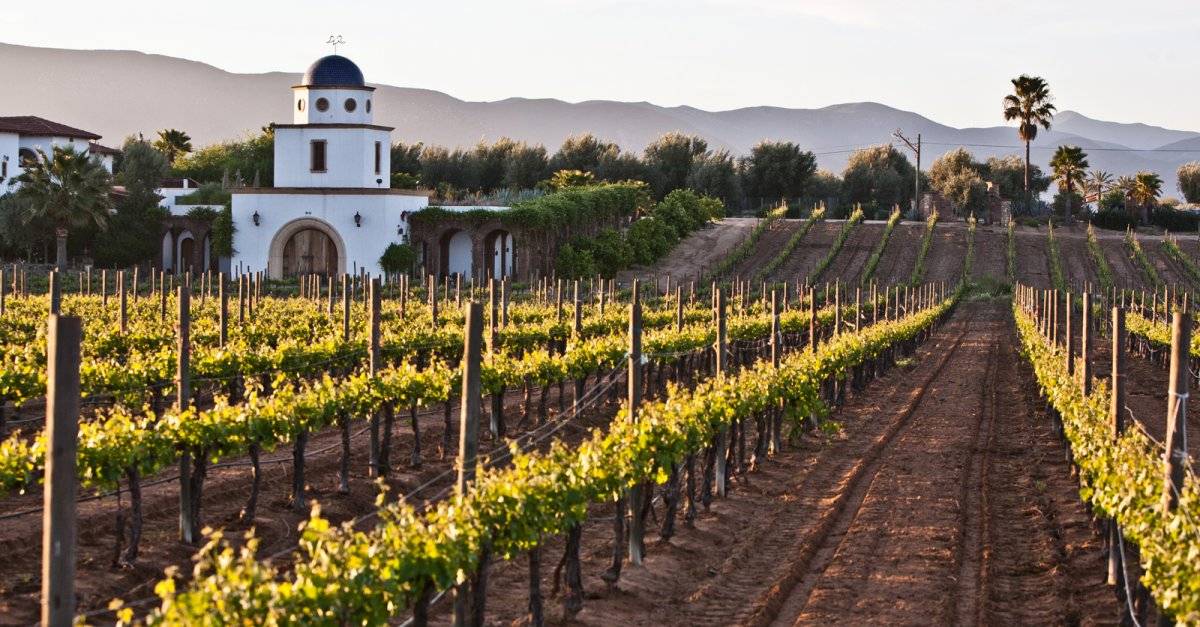 Valle de Guadalupe