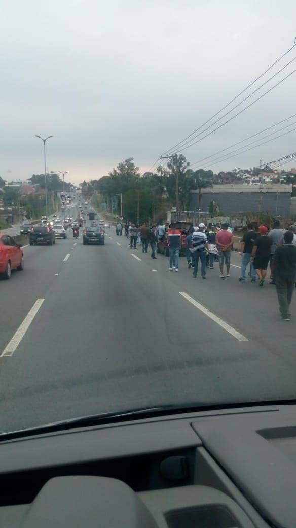 protesto raposo