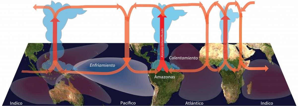 103569651circulacion2-07f0aeb7e721a1cff191e26303c198b6.jpg