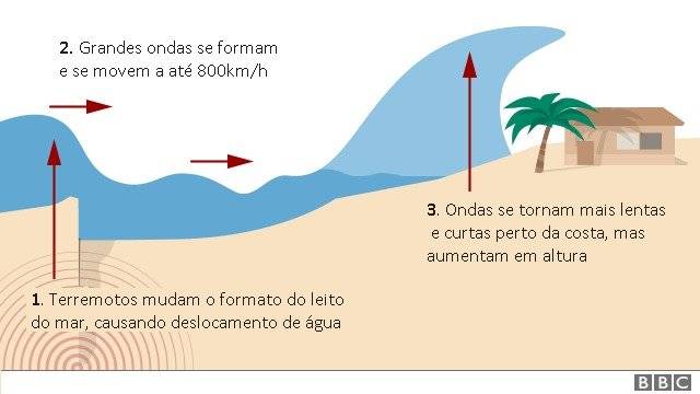103679602grafico-51bfb5e662aa9d68a82e19f492929d9f.jpg