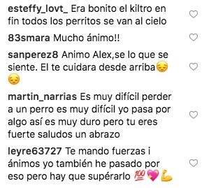 Alex Consejo