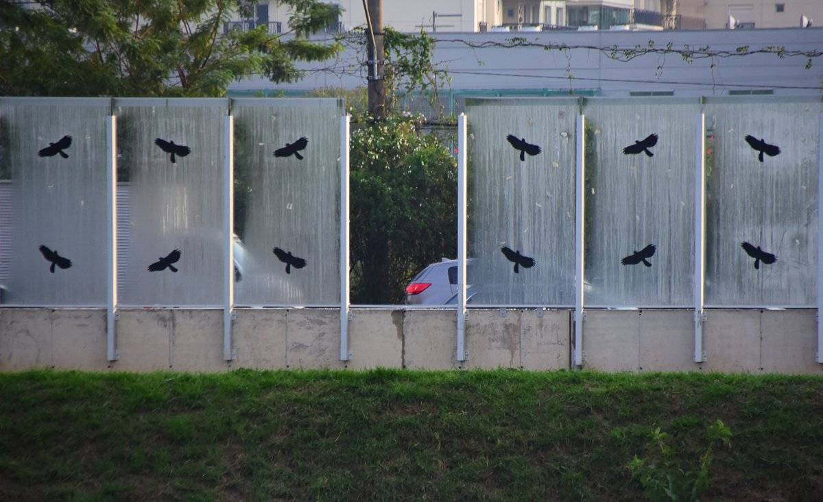 Muro da USP setembro 2018