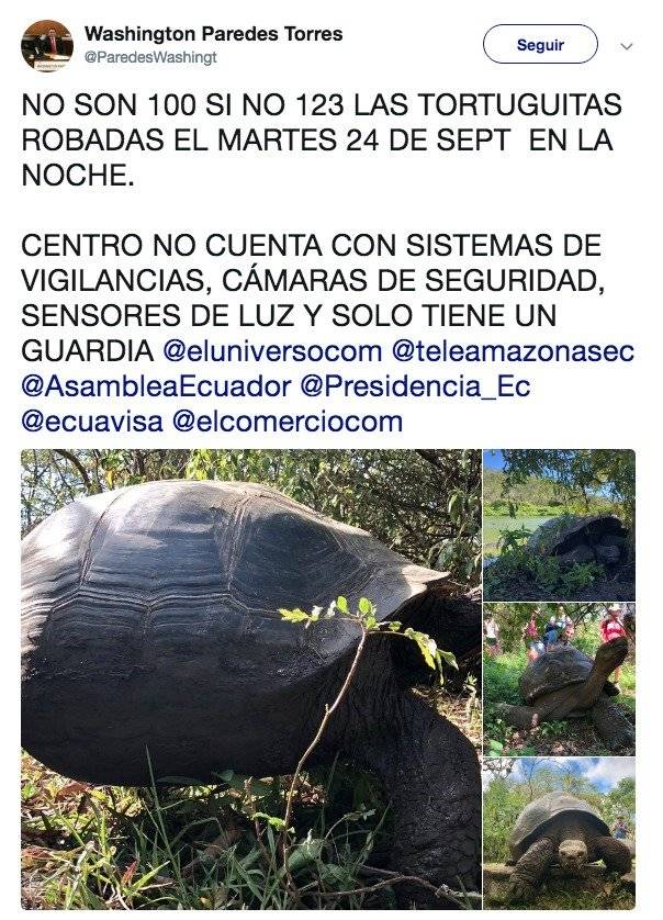 Denuncian robo de más de 100 crías de tortugas gigantes en las islas Galápagos