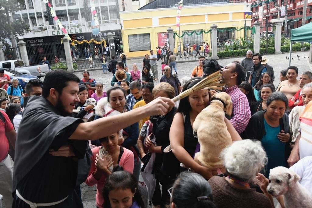Bendición de mascotas