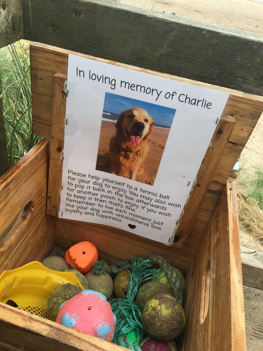 em memória de charlie