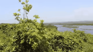 0c5d79393c834478bd87498de3b7bb62-d49c44faa60b05ed7d5335618701ee81.gif 0c5d79393c834478bd87498de3b7bb62-d49c44faa60b05ed7d5335618701ee81.gif