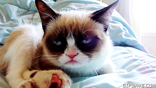 1262grumpycattiredupsetannoyed-9748fff7b92beaaf94b5d05d0a53edde.gif 1262grumpycattiredupsetannoyed-9748fff7b92beaaf94b5d05d0a53edde.gif