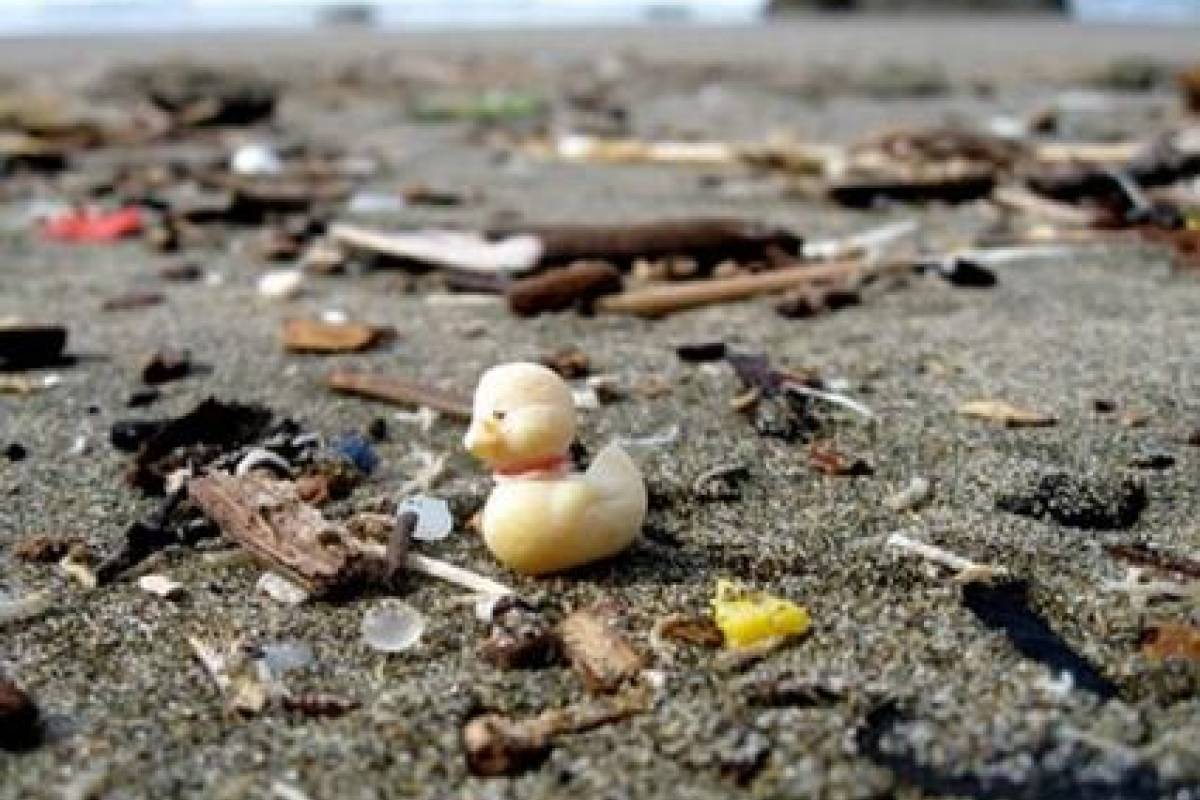 201167beachart-affebcd2fd8605a5d1e5f17073598ccf.jpg 201167beachart-affebcd2fd8605a5d1e5f17073598ccf.jpg