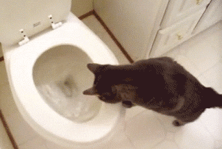 3tr6gsn-e5b5713efb395cd7c1ca508c37ef598d.gif 3tr6gsn-e5b5713efb395cd7c1ca508c37ef598d.gif