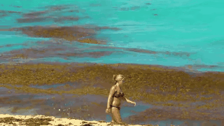 53c9b5eb4ae44b2ea46dce47f8e86877-5f059eb877b099e48cdd64e728714f53.gif 53c9b5eb4ae44b2ea46dce47f8e86877-5f059eb877b099e48cdd64e728714f53.gif