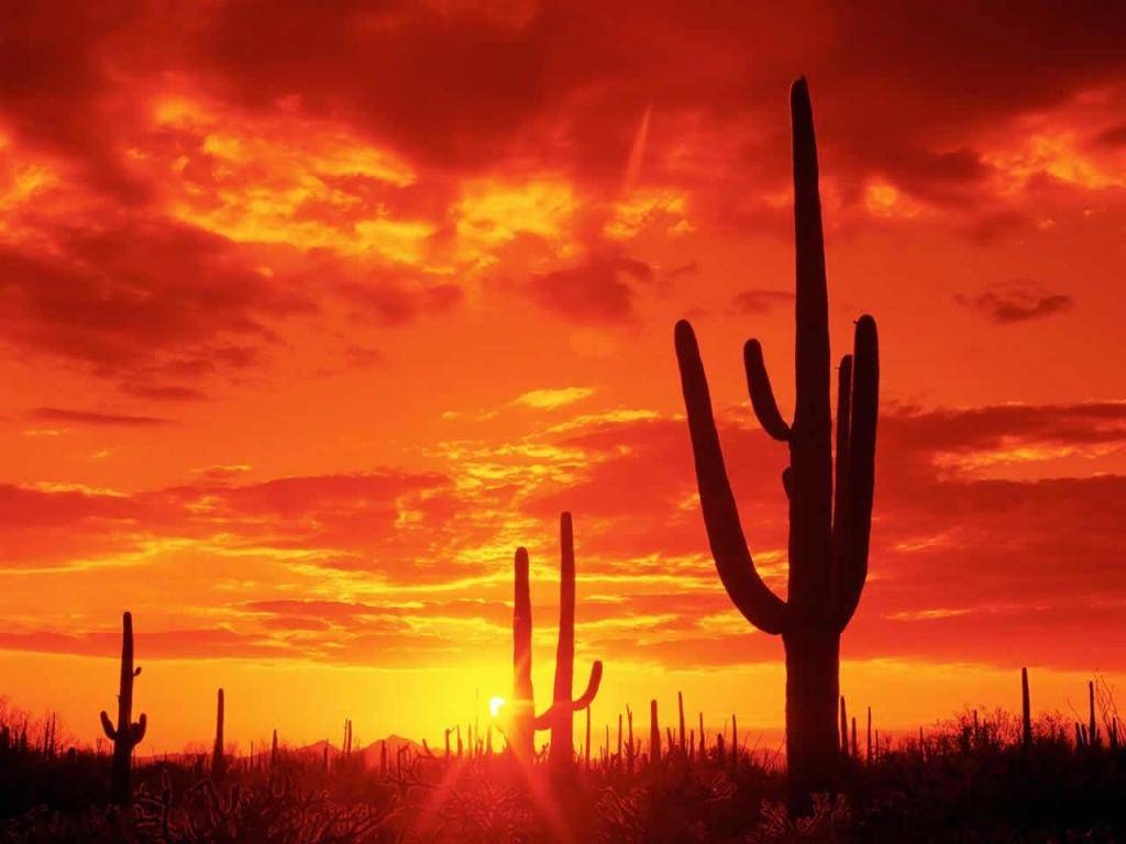 atardecereneldesierto2-ae59b53e2a73ca106153cb242db45c1b.jpg atardecereneldesierto2-ae59b53e2a73ca106153cb242db45c1b.jpg