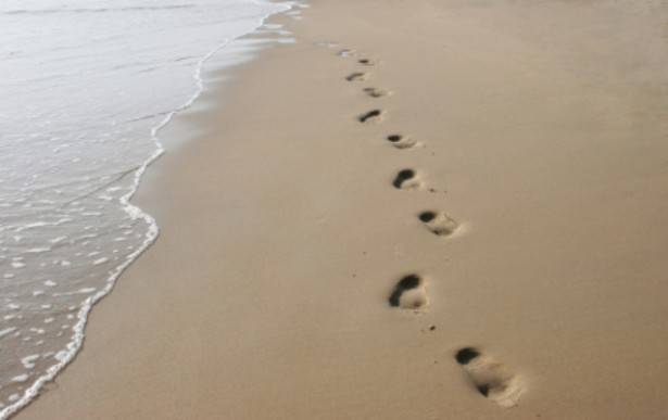 babystepsonthebeachinthesand-6b3747d09165db674dc518aed5cb3fe5.jpg babystepsonthebeachinthesand-6b3747d09165db674dc518aed5cb3fe5.jpg