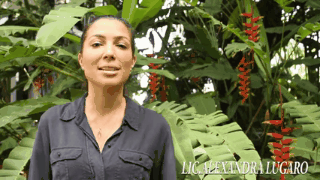 bedb80240ecd4a2686127e9a2435d9db-fe660436f8efad88d09474ec21429314.gif bedb80240ecd4a2686127e9a2435d9db-fe660436f8efad88d09474ec21429314.gif