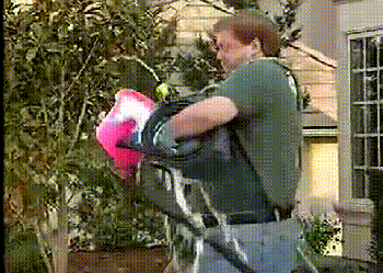 carwash-3e71b40cce9da7a0af586cc223ab69bd.gif carwash-3e71b40cce9da7a0af586cc223ab69bd.gif