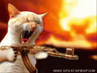 catshootingamachineguno-3ed80a891aaab069417833ea0c2528c9.gif catshootingamachineguno-3ed80a891aaab069417833ea0c2528c9.gif
