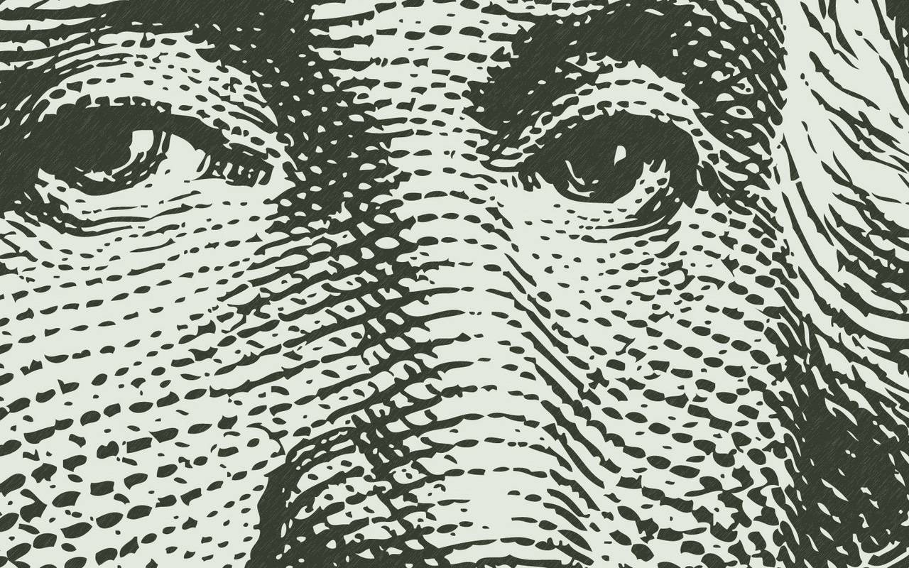 closeupmoney00256785-06f5a2e638fe38263b78a34ff15565a3.jpg closeupmoney00256785-06f5a2e638fe38263b78a34ff15565a3.jpg