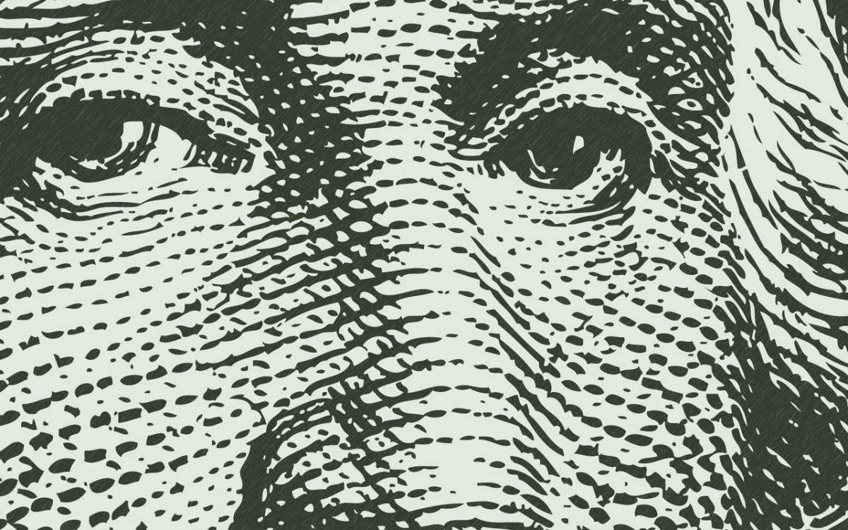 closeupmoney00256785-e9f5d3729b38f34df67615a2a2060efb.jpg