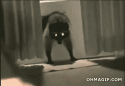 giphy11-de3e6eee19a1d661ed1d3710d2ca50e2.gif