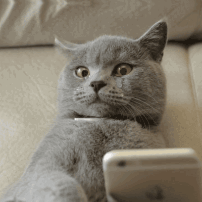 giphy125-139bb21821cbe2daa5bbb4150afab6ce.gif giphy125-139bb21821cbe2daa5bbb4150afab6ce.gif