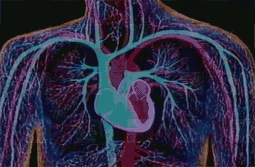 giphy125-56cc522ea404c46ae5e3bcaa8ae5ad11.gif giphy125-56cc522ea404c46ae5e3bcaa8ae5ad11.gif