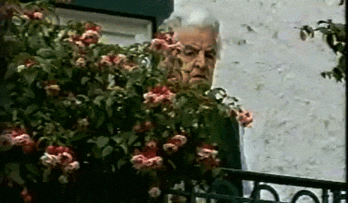 giphy136-ccaa3aad68f16453eee01f7b63f2328d.gif giphy136-ccaa3aad68f16453eee01f7b63f2328d.gif