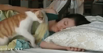 giphy17-b564090aaa275872ad29f0fbfb62f443.gif giphy17-b564090aaa275872ad29f0fbfb62f443.gif