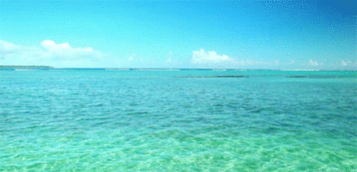 giphy17-de0aa71da6eadf3bd32fa8cb1c5e4f0d.gif giphy17-de0aa71da6eadf3bd32fa8cb1c5e4f0d.gif