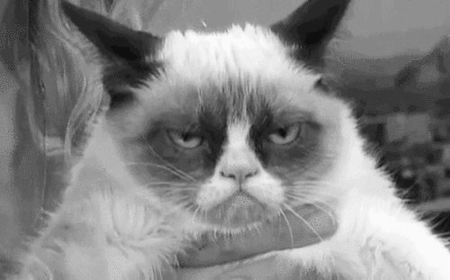 giphy20-ddfdf6b2e1389d8e15d2affa8a765c51.gif giphy20-ddfdf6b2e1389d8e15d2affa8a765c51.gif