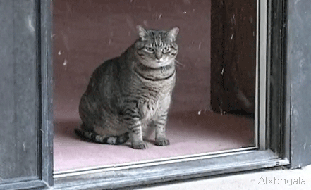 giphy23-dc1f6576c2198c424e994d462046b251.gif giphy23-dc1f6576c2198c424e994d462046b251.gif