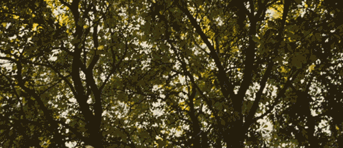 giphy25-fe186c5c999f72575548fe953670977e.gif giphy25-fe186c5c999f72575548fe953670977e.gif