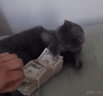 giphy3-aa60dad05acb65f09aee0480ea7fd7d6.gif giphy3-aa60dad05acb65f09aee0480ea7fd7d6.gif