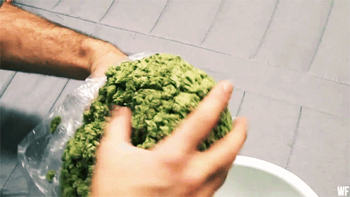 giphy3-bd7c84483ca22633321818815b873dfd.gif giphy3-bd7c84483ca22633321818815b873dfd.gif
