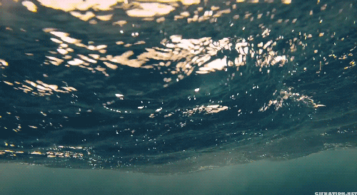 giphy35-97aa55402416a91525de4336a014b57e.gif giphy35-97aa55402416a91525de4336a014b57e.gif