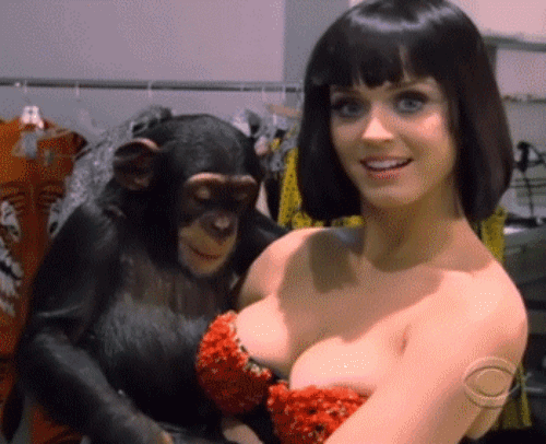 giphy63-7cdc407575bb3cafec64a3922847b465.gif giphy63-7cdc407575bb3cafec64a3922847b465.gif