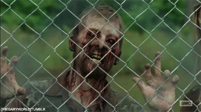 giphy8-b859478f7882d71d331c6e4609fa6182.gif giphy8-b859478f7882d71d331c6e4609fa6182.gif